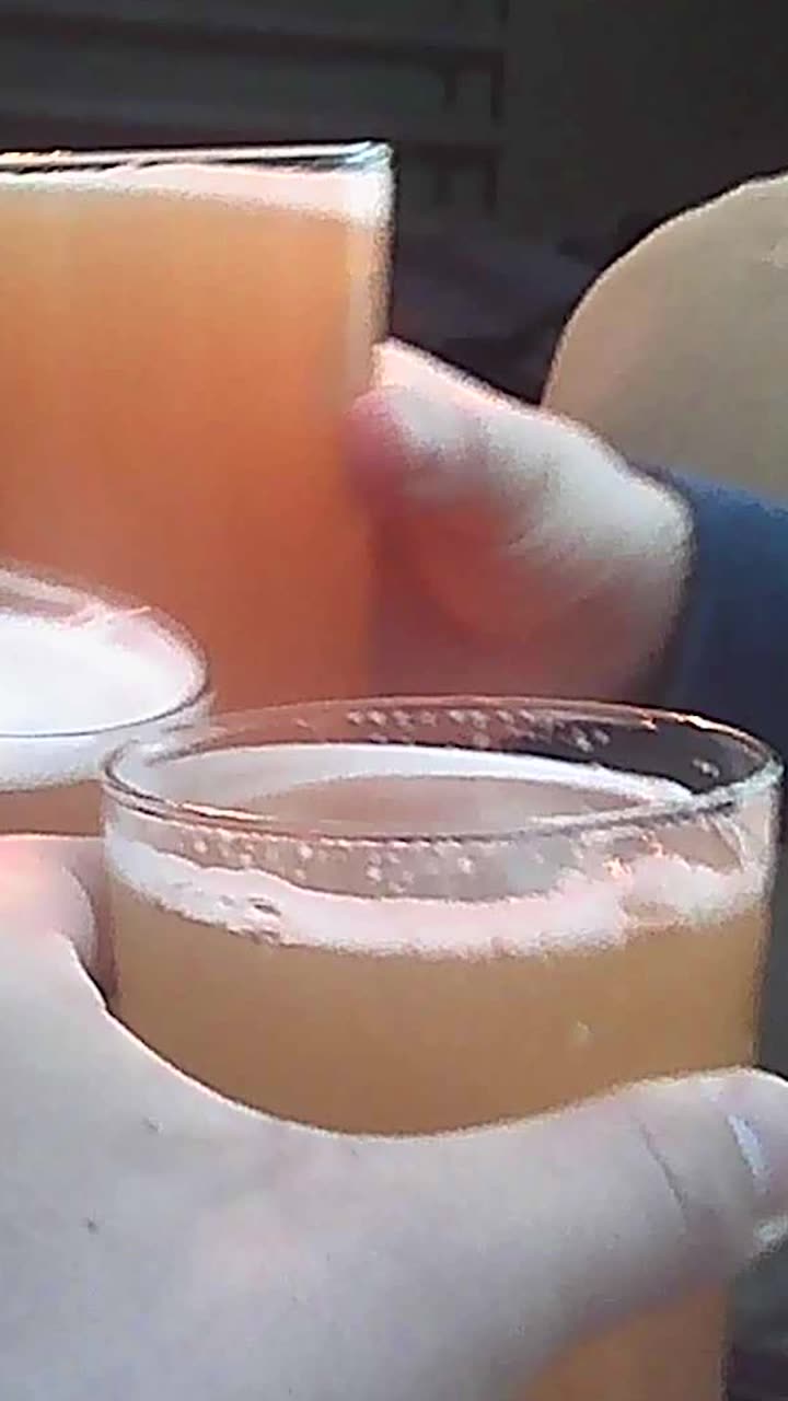 Mimosa cheers shot on the Postcard Cam